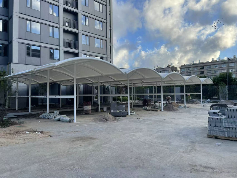 膜結(jié)構(gòu)基礎(chǔ)：定義與分類